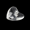 Trajnsparent Resin Pendants CRES-D306-03B-3