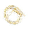 Natural Shell Pearl Beads Strands BSHE-H109-05-3