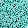 Baking Paint Glass Seed Beads SEED-K010-A19-2