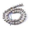 Natural Labradorite Beads Strands G-G212-8mm-23-8