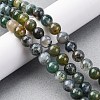 Natural Moss Agate Beads Strands G-F453-8mm-3