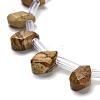 Natural Picture Jasper Beads Strands G-Q167-A23-02-3