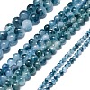 Natural Malaysia Jade Beads Strands G-L645-C01-12mm-24-2