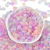 Transparent Colours Glass Seed Beads X1-SEED-P008-01B-09-3