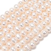 Natural Cultured Freshwater Pearl Beads Strands PA-CBABE82-15A-2