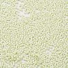 Baking Paint Glass Seed Beads X-SEED-S042-05B-63-3