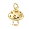 Brass Charms KK-S527-35G-1