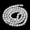 Natural Rainbow Moonstone Beads Strands G-P500-01C-01A-5
