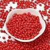 6/0 Opaque Baking Paint Glass Seed Beads SEED-M012-02A-20-2