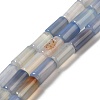 Natural Agate Beads Strands G-H295-E01-06-1