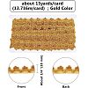 Metallic Lace Trim OCOR-WH0058-01G-2