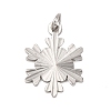 304 Stainless Steel Pendants STAS-A125-12P-1