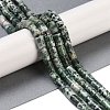 Natural Green Spot Jasper Beads Strands G-C128-A17-01-2