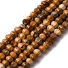Natural Picture Jasper Beads Strands G-P587-D12-01-2