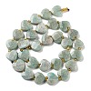 Natural Amazonite Beads Strands G-B044-B14-01-3