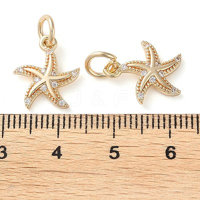 Rack Plating Brass Micro Pave Clear Cubic Zirconia Charms KK-D097-04G-1