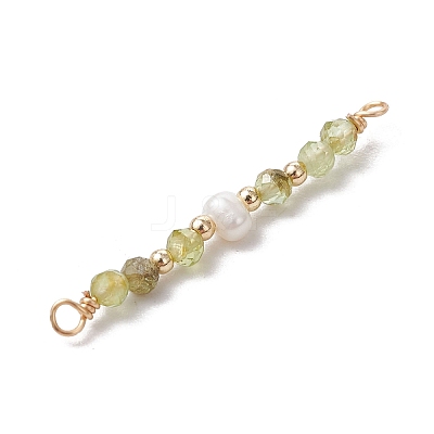 12Pcs 12 Styles Faceted Round Natural Mixed Stone Beaded Connector Charms PALLOY-JF03557-1