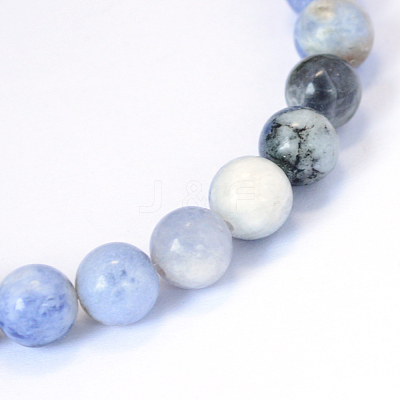 Natural Sodalite Round Bead Strands X-G-E334-8mm-08-1