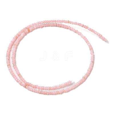 Natural Freshwater Shell Beads Strands SHEL-P017-01A-09-1