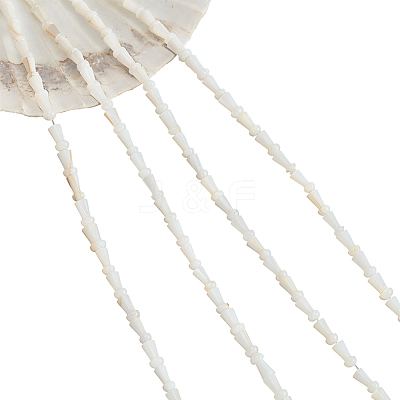 4 Strands Natural Freshwater Shell Beads Strands SHEL-NB0001-52-1