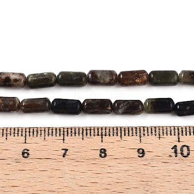 Natural Biotite Beads Strands G-N346-01A-02-1