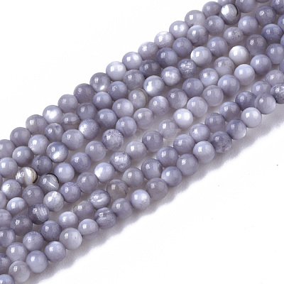 Natural Freshwater Shell Beads Strands BSHE-T009-01-1