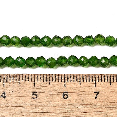 Natural Green Diopside Beads Strands G-NH0046-A01-02-1