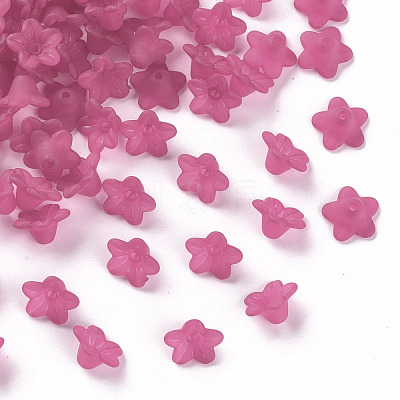 Transparent Acrylic Beads X-PL554-04-1