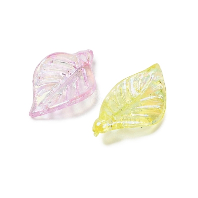 Transparent Acrylic Pendants MACR-F084-02-1