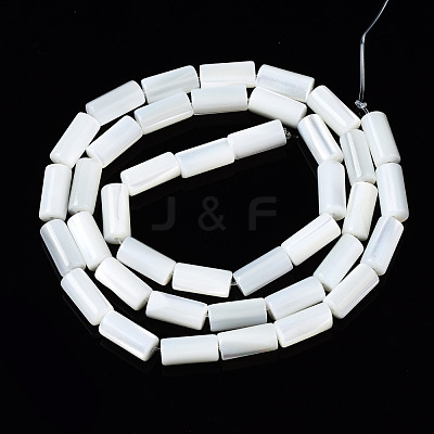 Natural Trochid Shell/Trochus Shell Beads Strands SSHEL-S266-020A-04-1