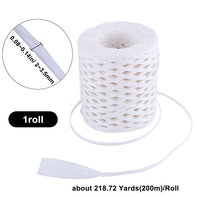 Raffia Paper Cords OCOR-WH20015-05A-1