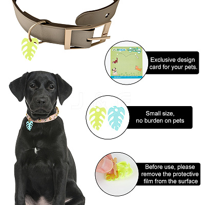 Transparent Blank Acrylic Pet Dog ID Tag PALLOY-AB00042-1
