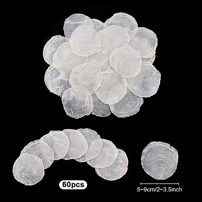 60Pcs Naturtal Capiz Shell Beads FIND-PH0026-67-1