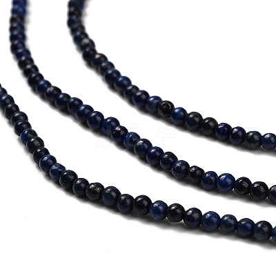 Dyed Natural Lapis Lazuli Beads Strands G-H317-A01-1