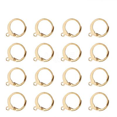 304 Stainless Steel Leverback Earring Findings X-STAS-G081-62G-1