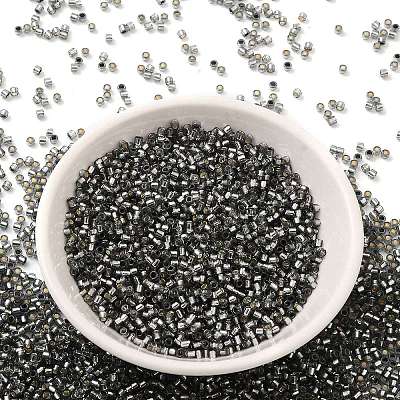 Glass Seed Beads X-SEED-S042-04B-31-1