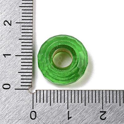 Glass European Beads LS-GLAA-XCP0001-43I-1
