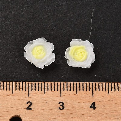Luminous Resin Decoden Cabochons RESI-K036-06E-1