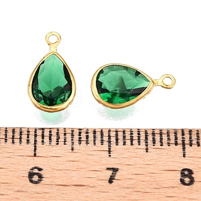 K9 Glass Charms GLAA-T023-10E-1