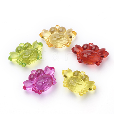 Transparent Acrylic Pendants X-TACR-T002-14-1