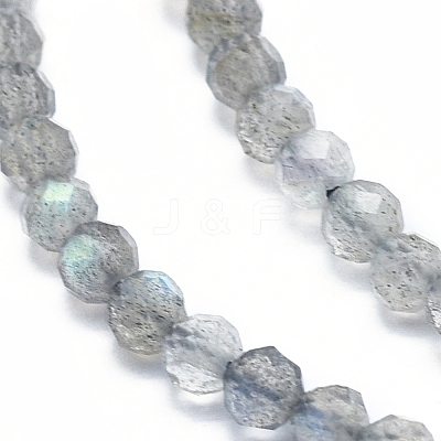Natural Labradorite Beads Strands G-D0003-E86-4MM-1