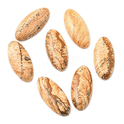 Natural Picture Jasper Cabochons G-E491-I-01A-1
