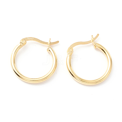 925 Sterling Silver Hoop Earrings STER-P047-13B-G-1