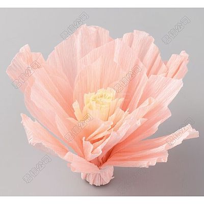 Crepe Paper Flowers Decoration for Wall AJEW-WH0415-43B-03-1