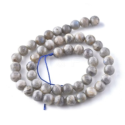 Natural Labradorite Beads Strands G-G212-8mm-23-1