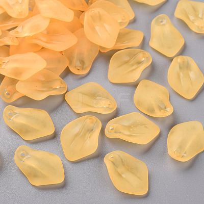 Transparent Frosted Acrylic Pendants MACR-S371-03A-719-1