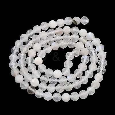 Natural Rainbow Moonstone Beads Strands G-P500-01C-01A-1