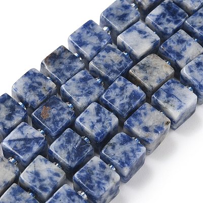 Natural Blue Spot Jasper Beads Strands G-D338-A02-1