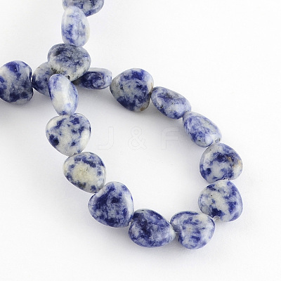 Natural Blue Spot Jasper Bead Strands G-R190-04-1