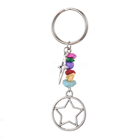 Tibetan Style Alloy Keychain KEYC-JKC00708-02-1